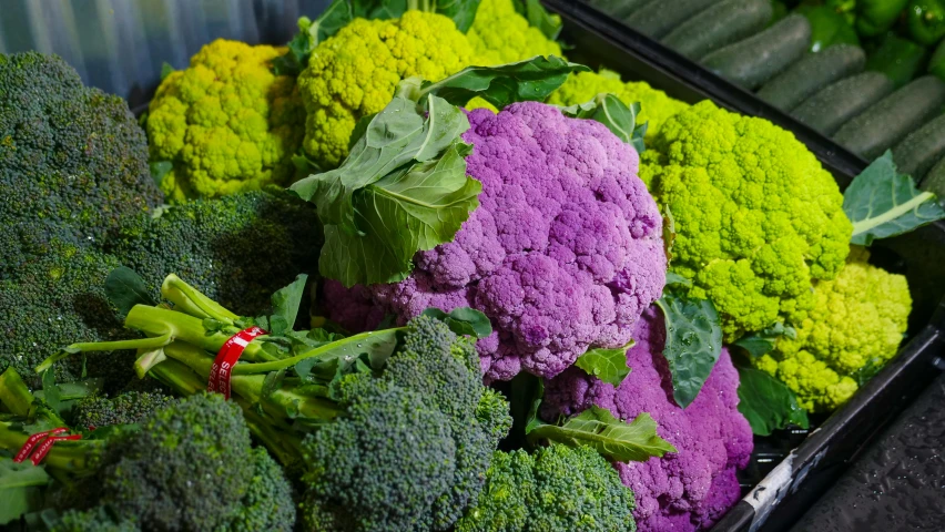 a close up of a bunch of broccoli, by Helen Stevenson, renaissance, purple neon colours, coxcomb, hydroponic farms, flowers