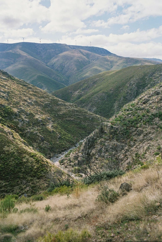 a train traveling through a lush green valley, les nabis, erosion channels river, lachlan bailey, wide views, loosely cropped