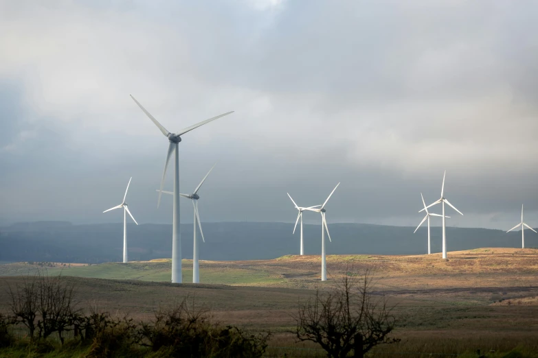 a group of wind turbines in a field, by David Donaldson, pexels contest winner, hurufiyya, skye meaker, slide show, various sizes, maintenance photo