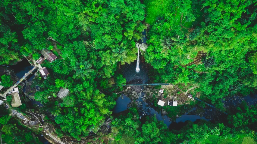 a river running through a lush green forest, by Daniel Lieske, pexels contest winner, hurufiyya, flying above a tropical forest, waterfalls and lakes, roofed forest, flat lay