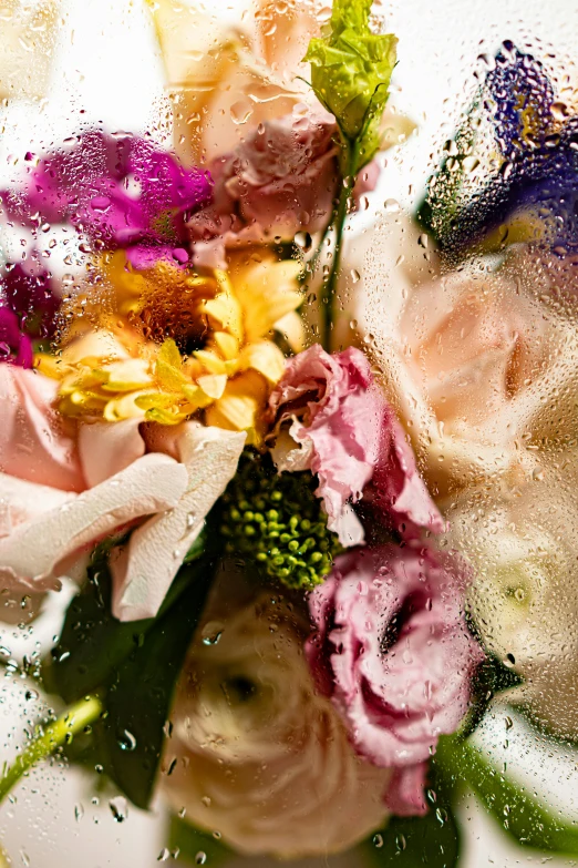 a close up of a bunch of flowers in a vase, soaked, bubbly, mix, fan favorite