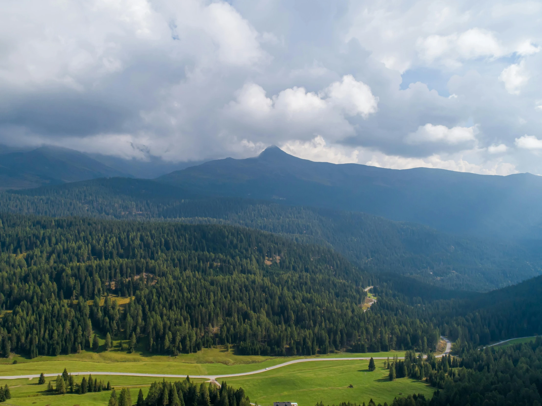 a couple of cows standing on top of a lush green hillside, by Sebastian Spreng, pexels contest winner, “ aerial view of a mountain, spruce trees, thumbnail, big sky