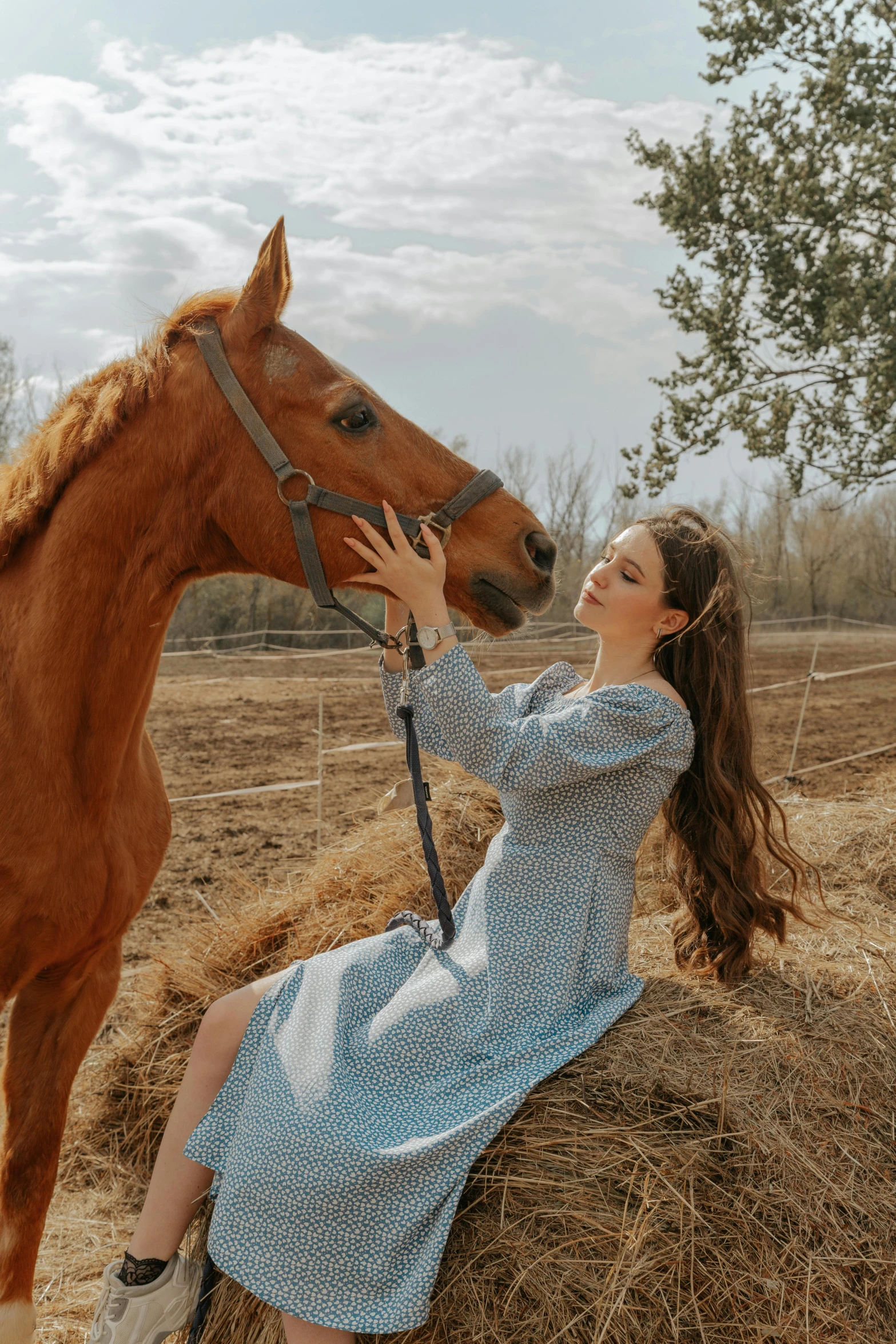 a woman sitting on top of a pile of hay next to a horse, inspired by Oleg Oprisco, pexels contest winner, renaissance, profile image, casual pose, sky - blue dress, gif