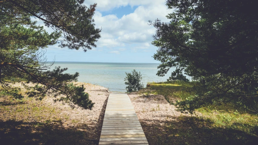 a wooden walkway next to a body of water, a picture, by Julia Pishtar, unsplash, romanticism, beach trees in the background, hammershøi, camp, conde nast traveler photo