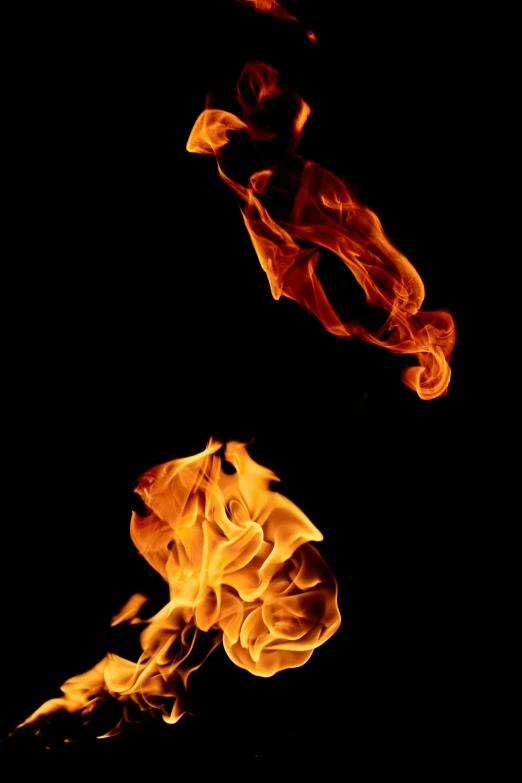 a close up of a fire on a black background, by Jan Rustem, stacked image, avatar image, fireflys, low iso