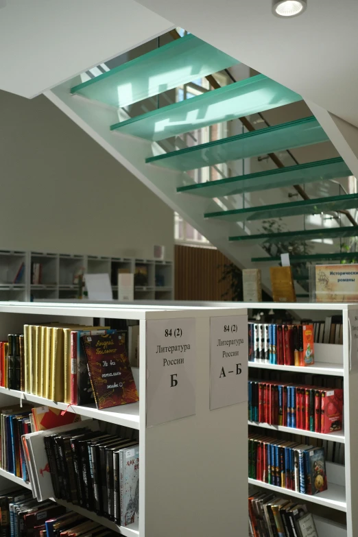a bookshelf filled with lots of books next to a staircase, an album cover, danube school, glass floor, biodiversity heritage library, ( side ) profile, mezzanine