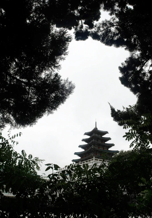 a view of a pagoda through the trees, misty castle, in 2 0 1 5, monumental giant palace, to