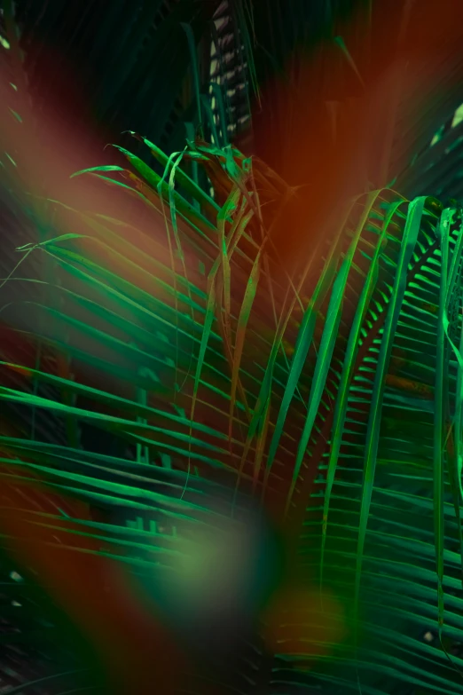 a giraffe standing on top of a lush green field, an album cover, inspired by Elsa Bleda, unsplash, lyrical abstraction, tropical palms, iridescent neon, red green, dynamic closeup