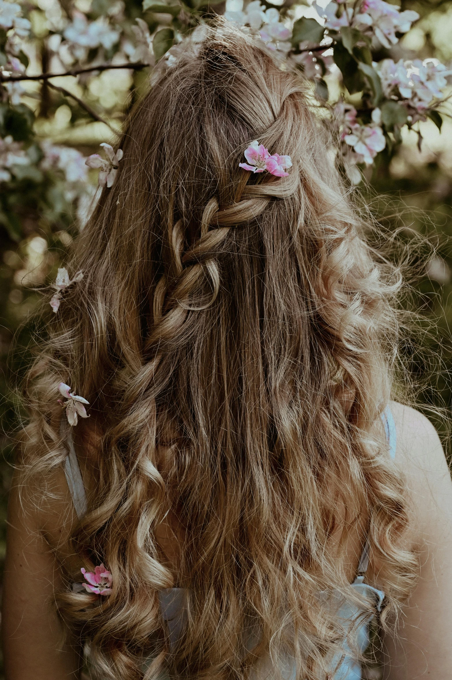 the back of a woman's head with flowers in her hair, trending on pexels, long wavy hair, fairy princess, half - length photo, textured