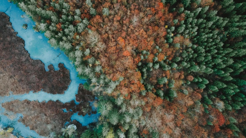 an aerial view of a river surrounded by trees, by Emma Andijewska, unsplash contest winner, land art, cyan and orange, irish forest, thumbnail, trees with lots of leaves