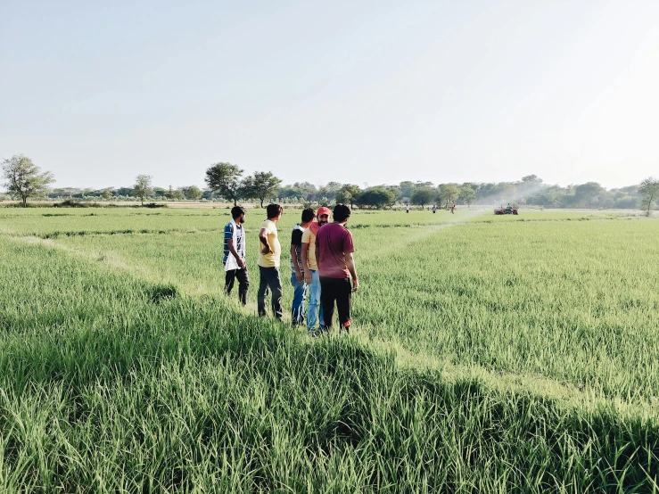 a group of people standing on top of a lush green field, a picture, irrigation, profile pic, exterior shot, thumbnail