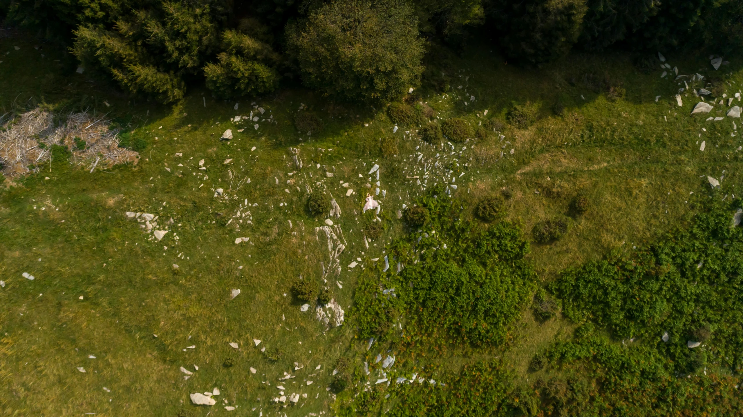 a herd of sheep grazing on top of a lush green field, by Adam Marczyński, land art, scattered rubbish and debris, drone photo, profile image, ignant