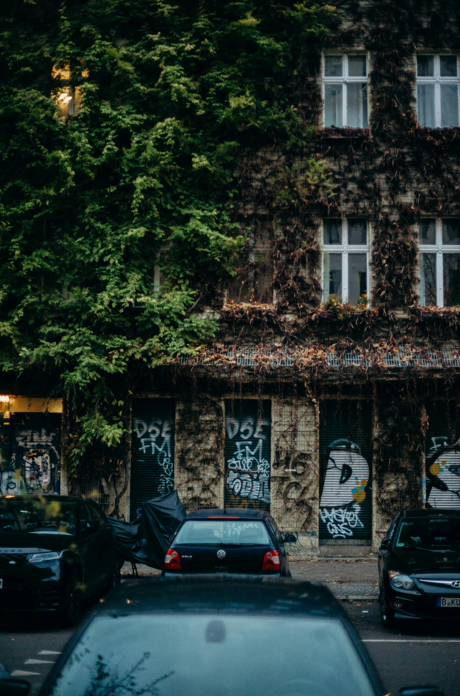 a bunch of cars that are parked in front of a building, by Micha Klein, pexels contest winner, graffiti, branches and ivy, kreuzberg, evening time, tourist photo