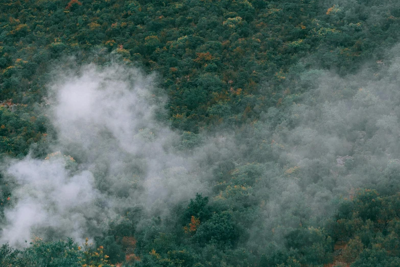 a train traveling through a lush green forest, an album cover, inspired by Elsa Bleda, unsplash contest winner, hudson river school, in clouds of smoke, view from helicopter, withering autumnal forest, william penn state forest