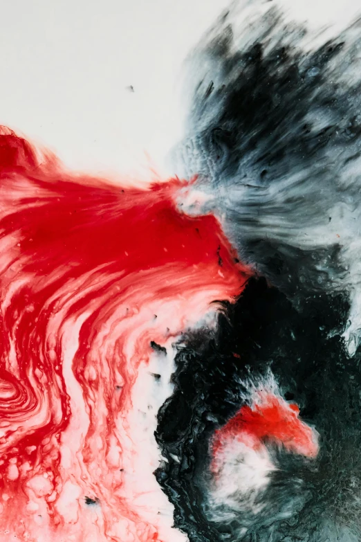 a red and black painting on a white surface, trending on pexels, swirling liquids, looking threatening, celebrating, bird view