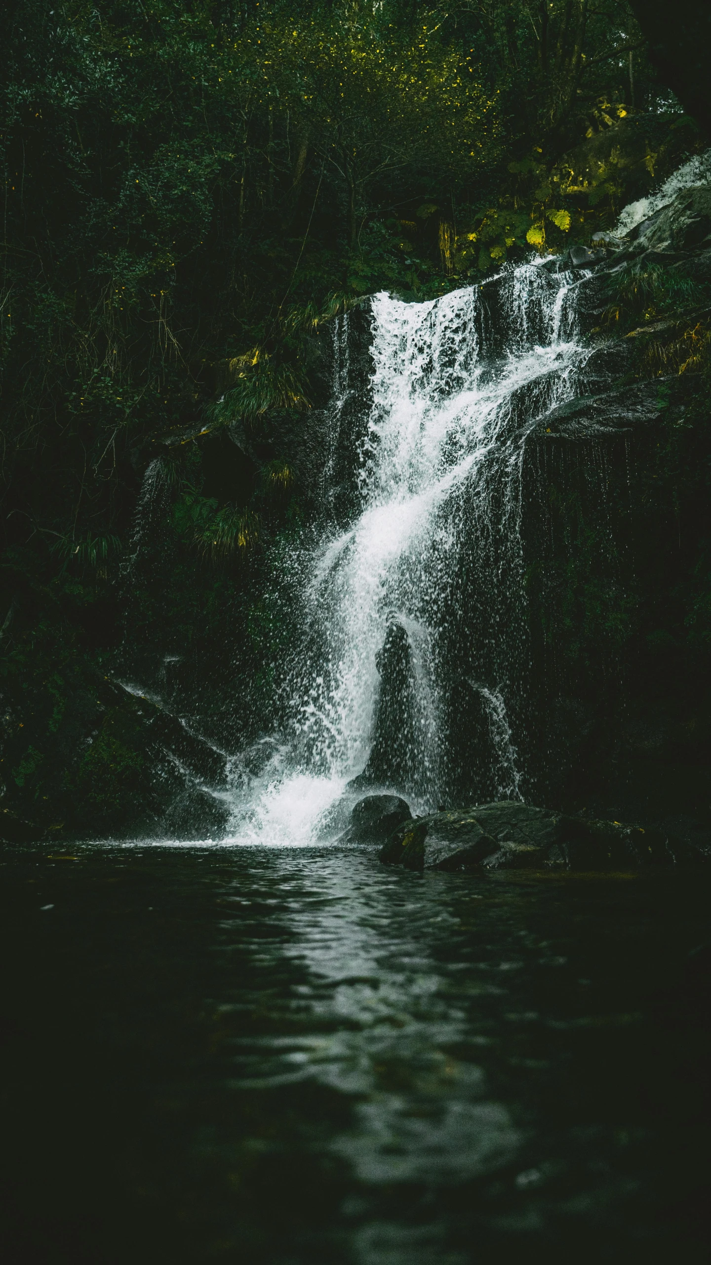 a waterfall in the middle of a forest, an album cover, inspired by Elsa Bleda, unsplash contest winner, dark green water, medium format. soft light, high quality photo, 90s photo