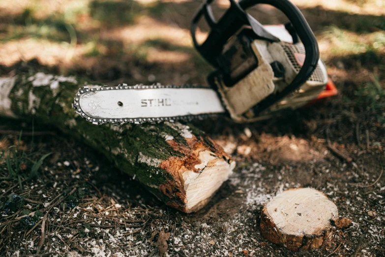 a chainsaw sitting on top of a tree stump, pexels contest winner, thumbnail, fan favorite, on a wooden desk, white wood