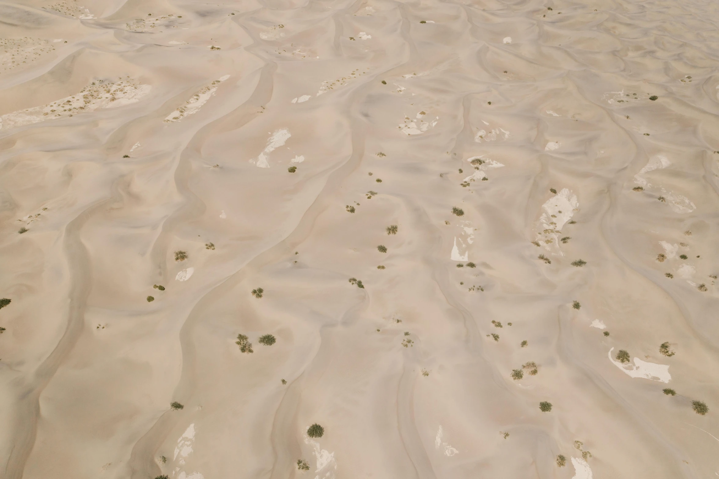 a man riding a surfboard on top of a sandy beach, inspired by Andreas Gursky, unsplash, land art, pbr texture, pale white detailed reptile skin, rendered in 32k huhd, desert camouflage