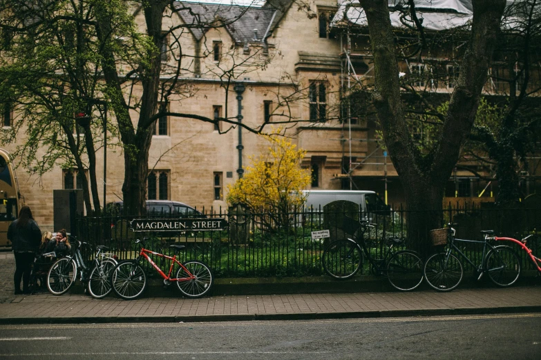 a row of bicycles parked in front of a building, by Nina Hamnett, pexels contest winner, outside the'school of magic ', daniel oxford, maple trees along street, vsco