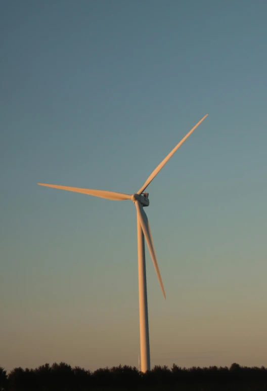 a wind turbine in the middle of a field, by Carey Morris, golden hour closeup photo, portrait n - 9, high detail photo, really long