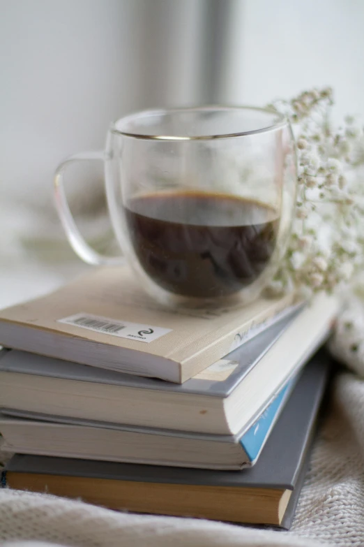 a cup of coffee sitting on top of a stack of books, cold brew coffee ), softly - lit, promo image, botanicals