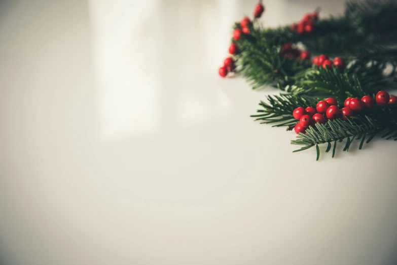 a branch of a christmas tree with red berries, pexels, minimalism, multiple stories, wide screenshot, blank, red and green hour