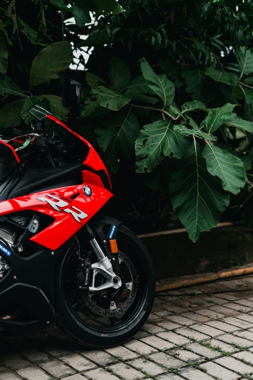 a red and black motorcycle parked next to a tree, pexels contest winner, bmw, 2 5 6 x 2 5 6 pixels, in a jungle environment, racing