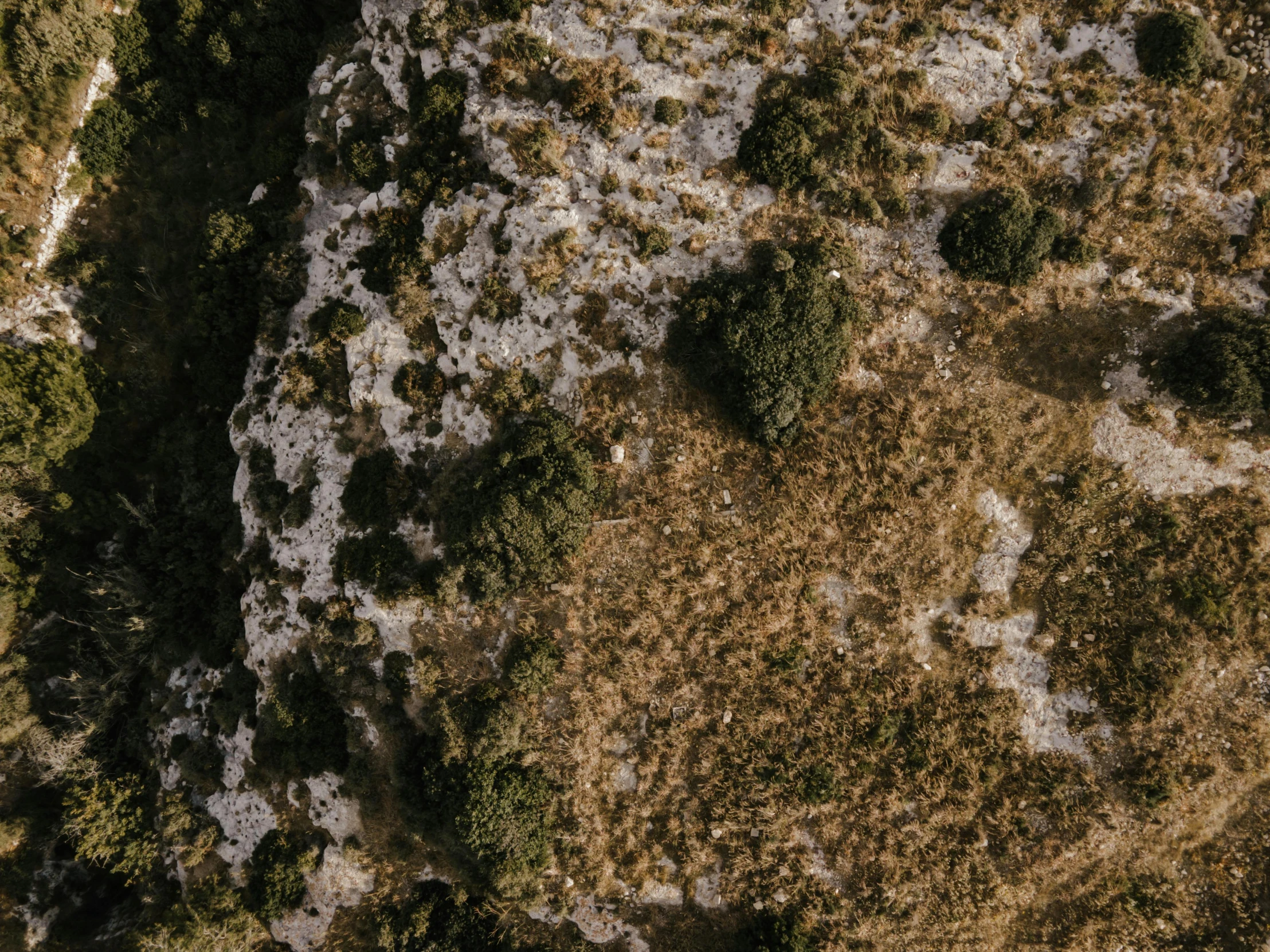 a couple of sheep standing on top of a lush green hillside, pexels contest winner, land art, over a calanque, game top down view, the ground is dark and cracked, cinematic shot ar 9:16 -n 6 -g