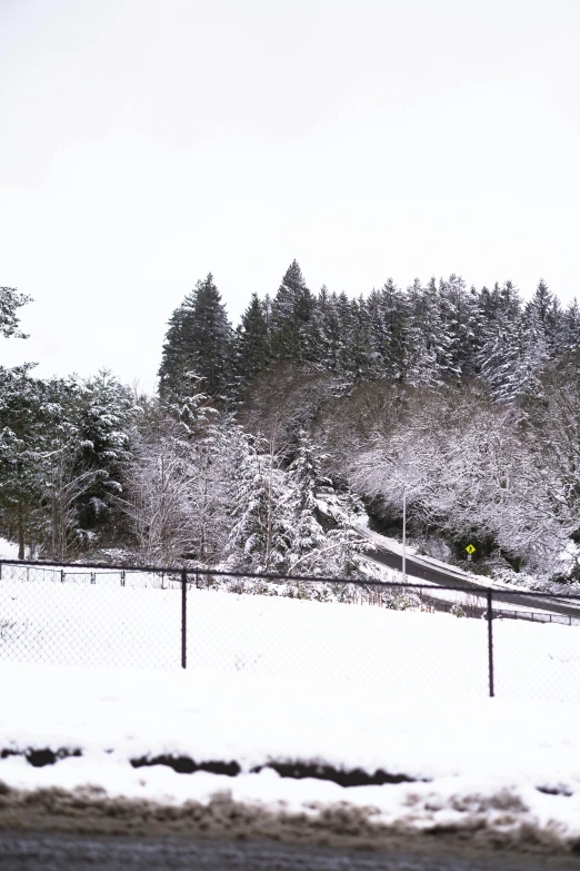 a man riding a snowboard down a snow covered slope, flickr, vancouver school, trees!!, view from across the street, late 2000’s, oregon