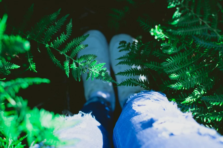 a person standing in the middle of a lush green forest, inspired by Elsa Bleda, trending on unsplash, blue shoes, fern, jeans and t shirt, lying down