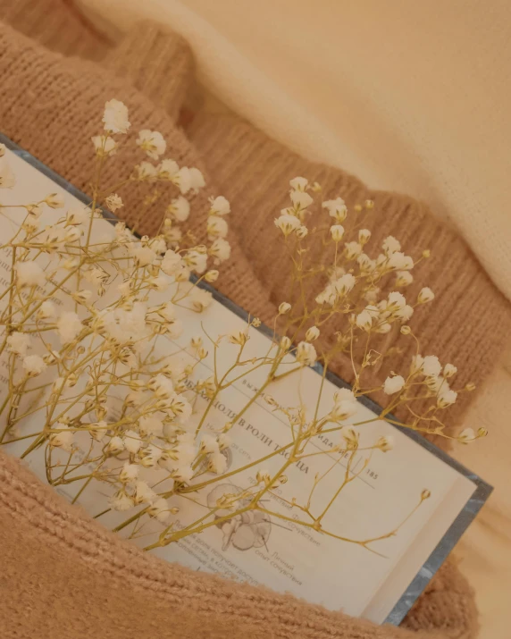 a close up of a book with flowers in it, beige color scheme, promo image, gypsophila, official screenshot