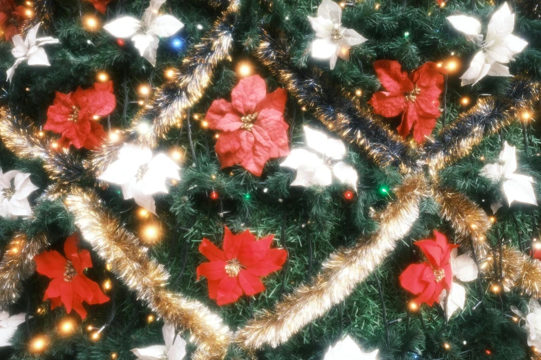 a close up of a christmas tree with decorations, a digital rendering, by Nancy Spero, pexels, hurufiyya, red and white flowers, taken in 1 9 9 7, fairy lights, gold flaked flowers