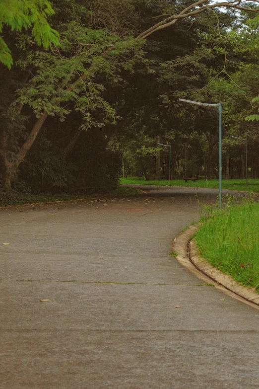 a red stop sign sitting on the side of a road, an album cover, by Elsa Bleda, realism, green spaces, in a park, blank, curved