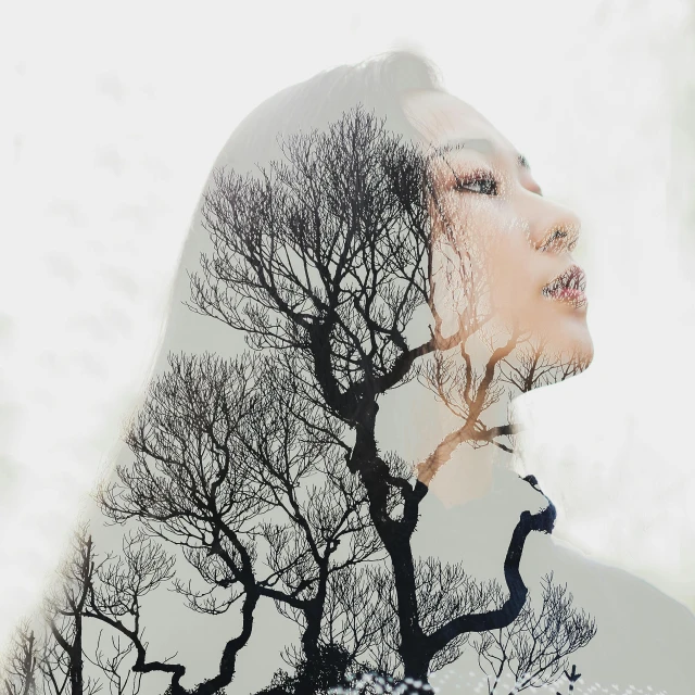 a double exposure photo of a woman with trees in the background, an album cover, inspired by Jung Park, trending on pexels, chinese ink painting, on a gray background, person made of tree, looking up