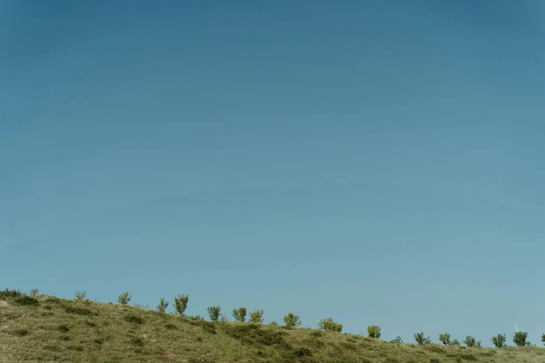 a man flying a kite on top of a lush green hillside, inspired by Zhang Kechun, postminimalism, archival pigment print, blue sky without clouds, minimal canon 5 0 mm, olive trees