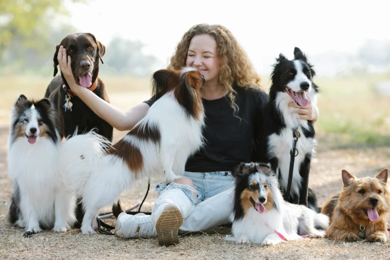 a woman sitting on the ground with a bunch of dogs, pexels contest winner, avatar image, aussie, profile image, thumbnail