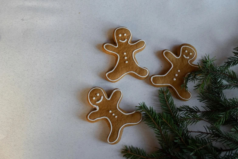 a couple of ginger cookies sitting on top of a table, a picture, by Emma Andijewska, pexels, folk art, background image, frosty, waving, ignant