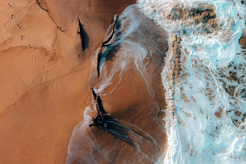 a couple of birds sitting on top of a sandy beach, by Matija Jama, pexels contest winner, aerial iridecent veins, water flowing, whales, thumbnail