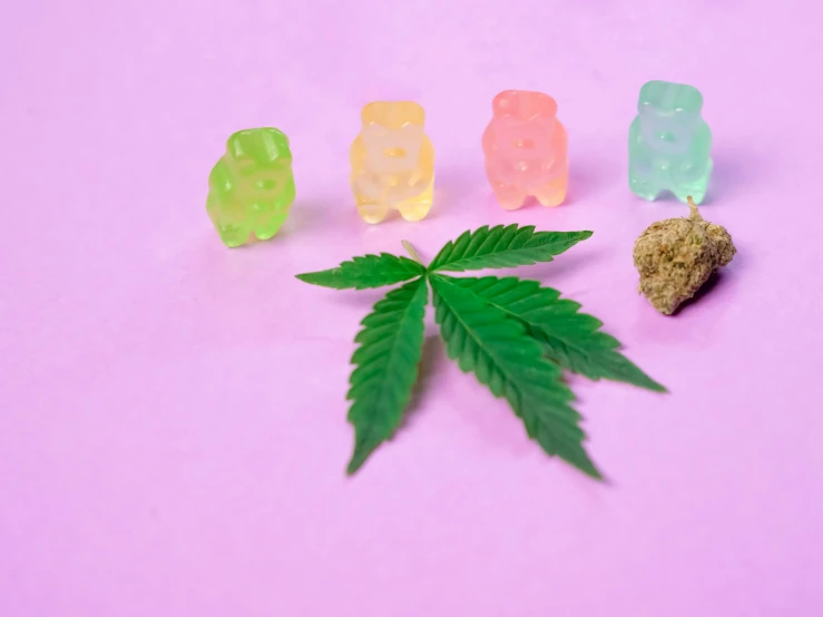 a group of gummy bears sitting on top of a leaf, an album cover, pexels, hemp, pastel pink neon, thumbnail, 8