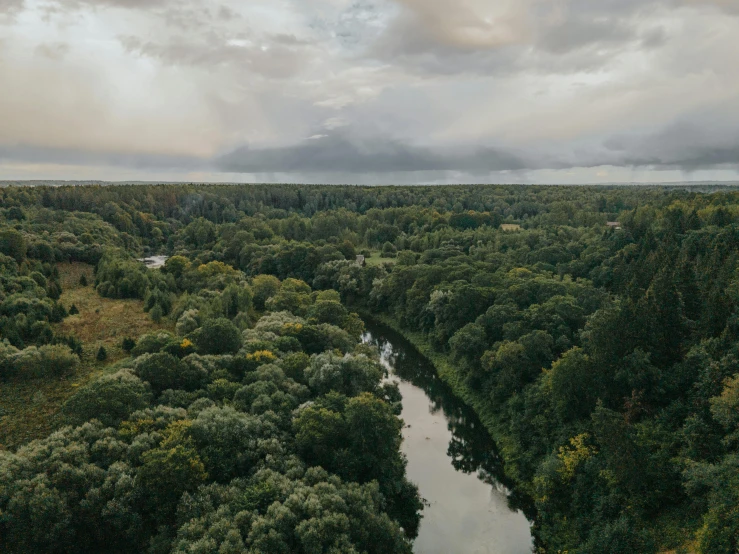 a river running through a lush green forest, by Adam Marczyński, unsplash contest winner, hurufiyya, panorama view of the sky, overcast dusk, capital of estonia, wide high angle view