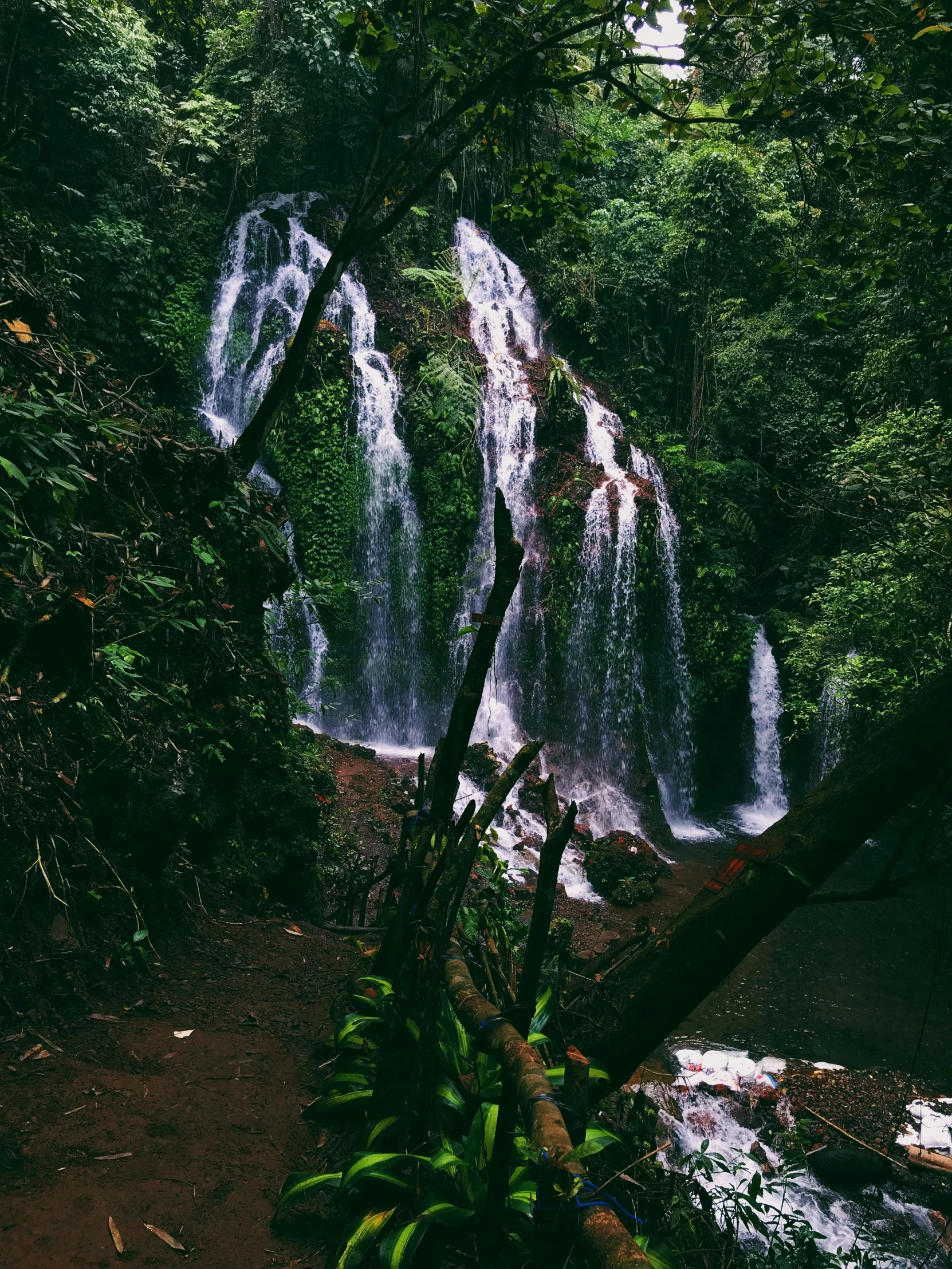 a waterfall in the middle of a lush green forest, an album cover, pexels contest winner, sumatraism, brown, view, dripping, historical picture