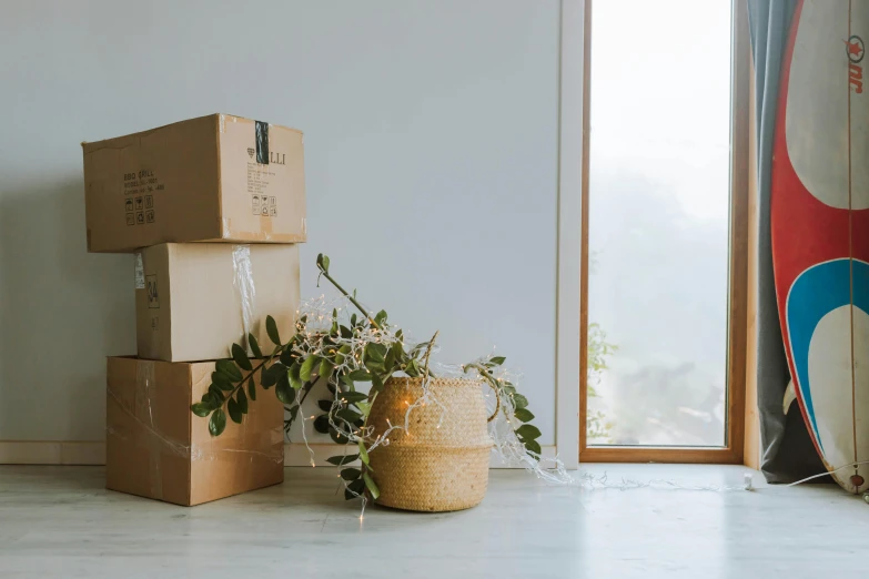 a stack of boxes sitting on top of a floor next to a surfboard, a still life, houseplant, profile image, window, unedited