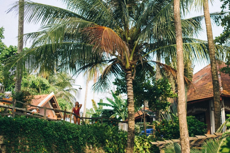 a couple of palm trees sitting on top of a lush green field, a picture, unsplash, fishing village, standing outside a house, 🦩🪐🐞👩🏻🦳, casey cooke