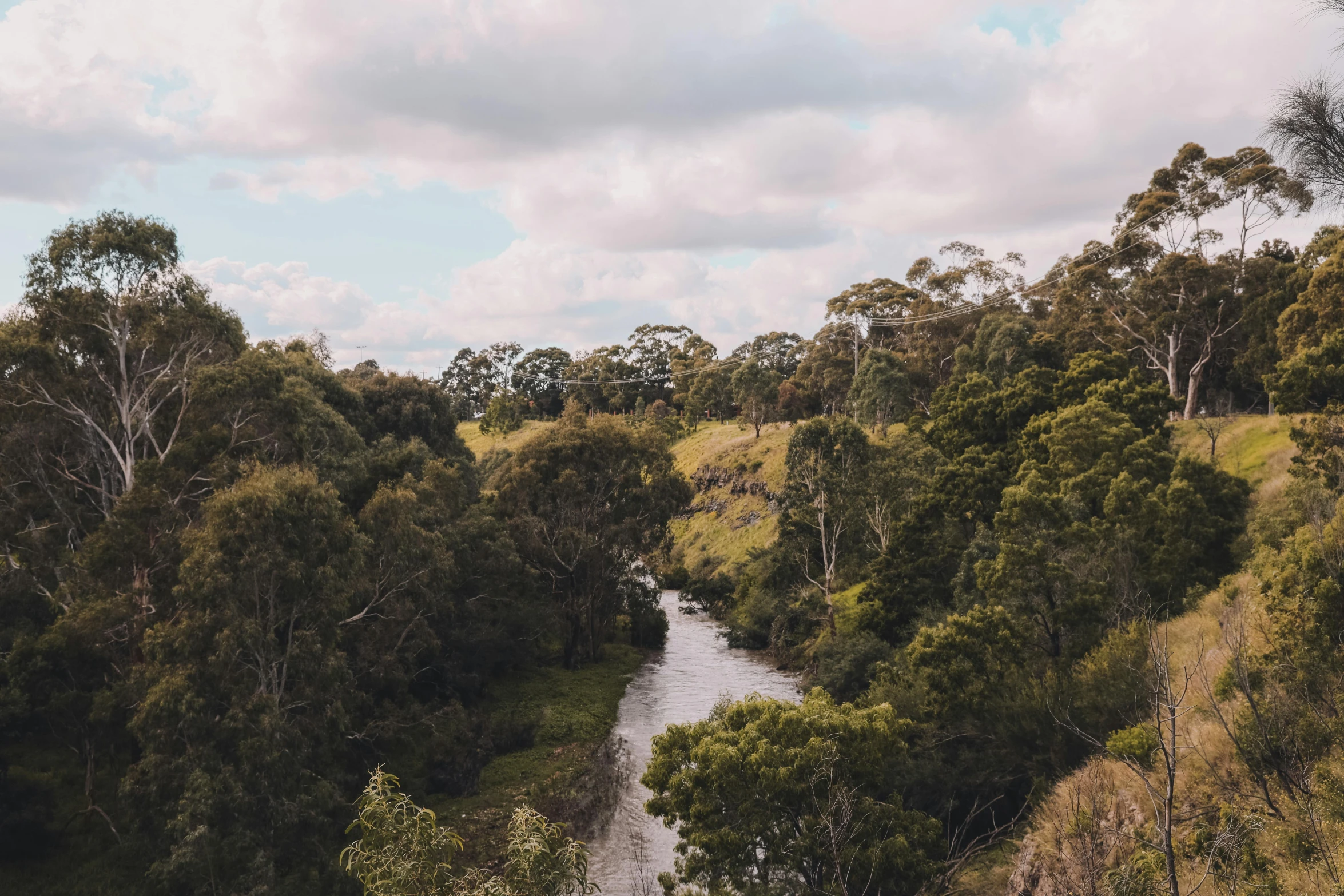 a river running through a lush green forest, an album cover, unsplash contest winner, australian tonalism, valley in the distance, afternoon hangout, melbourne, instagram story