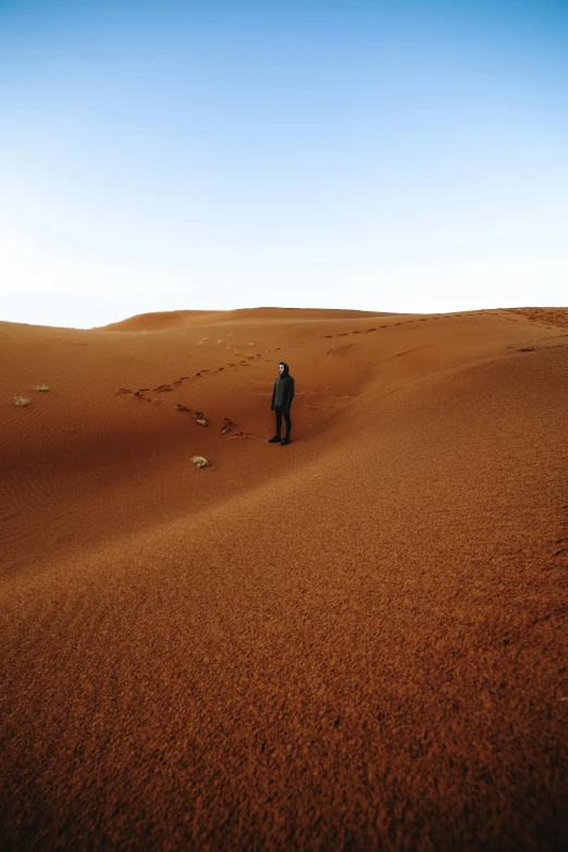 a person standing in the middle of a desert, les nabis, looking at the ground, sparsely populated, erosion, sandy colours