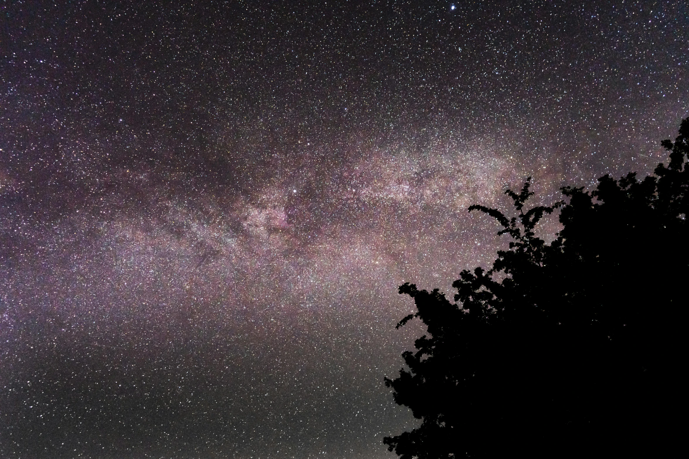 a night sky filled with lots of stars, by Joe Bowler, fan favorite, the milk way, cosmic tree, star charts