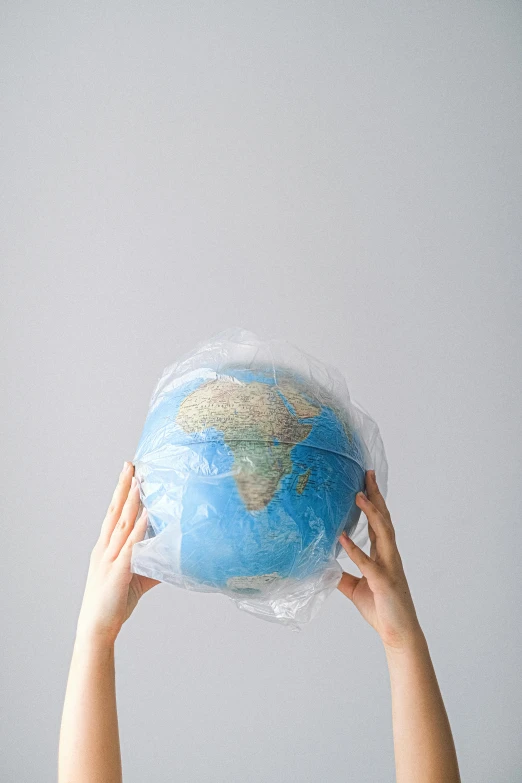 a person holding a globe in their hands, plasticien, made of lab tissue, packaging of the world, promo image, covered in