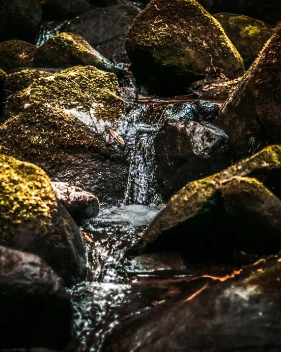 a stream of water running over rocks covered in moss, a picture, inspired by Elsa Bleda, pexels contest winner, high contrast of light and dark, today\'s featured photograph 4k, ((rocks))