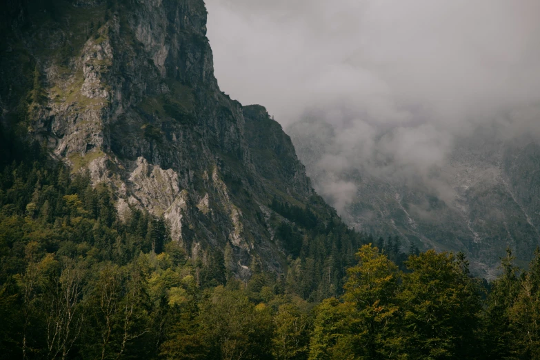 a herd of cattle grazing on top of a lush green hillside, by Emma Andijewska, pexels contest winner, karst pillars forest, lauterbrunnen valley, overcast skies, wide screenshot