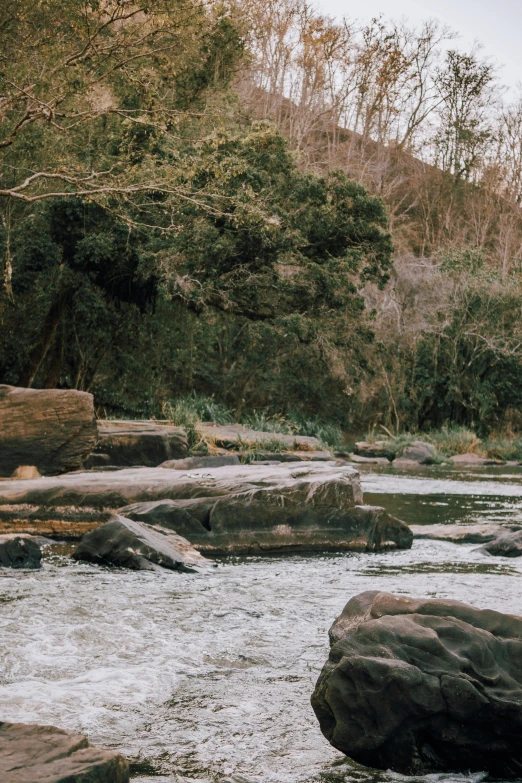 a man standing on top of a rock next to a river, by Elizabeth Durack, trending on unsplash, bushveld background, sri lanka, instagram story, rapids